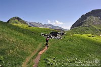 036 Sentiero dei fiori